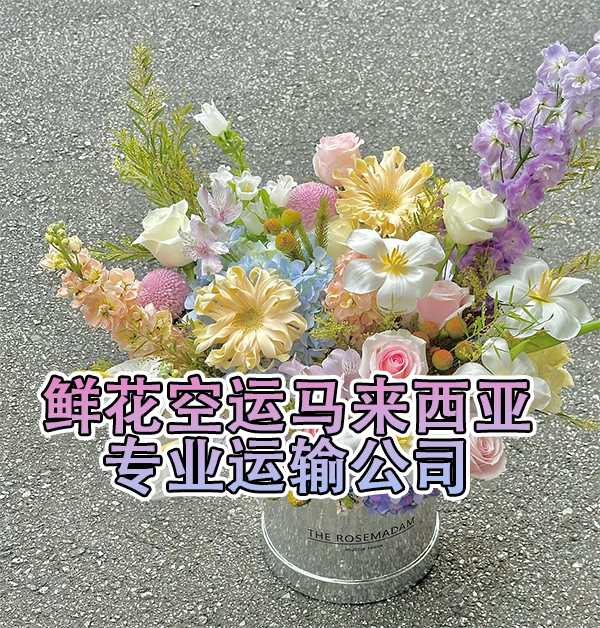 鲜花空运马来西亚