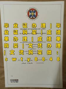 diploma  (28).jpg