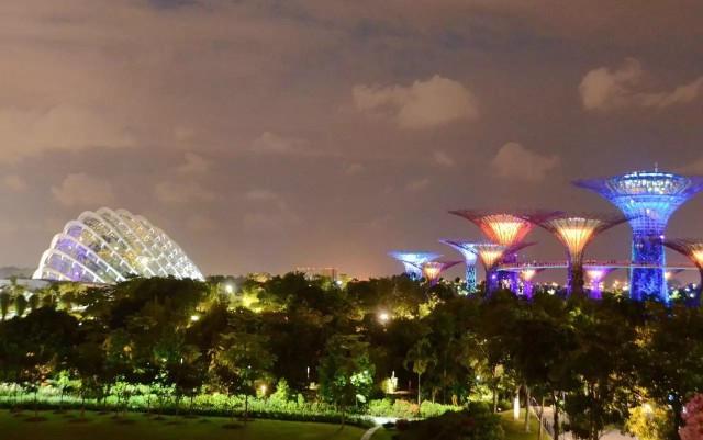 网红打卡地 新加坡滨海湾金沙购物广场夜景