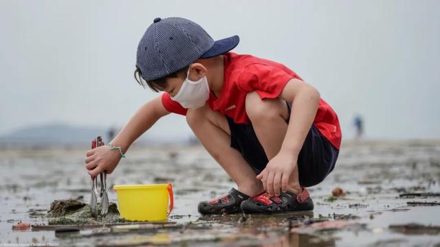 去赶海啦！新加坡海滩竟然也有寄居蟹、花蟹、龙虾、海星