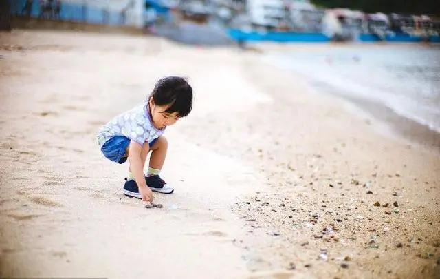 去赶海啦！新加坡海滩竟然也有寄居蟹、花蟹、龙虾、海星