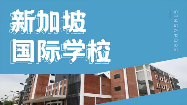 盘点！这几所新加坡国际学校的IB成绩远超世界平均水平