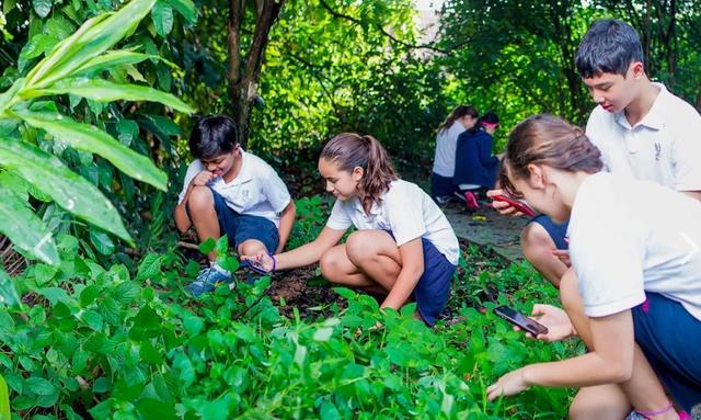 新加坡美国国际学校｜给孩子真正的国际化教育