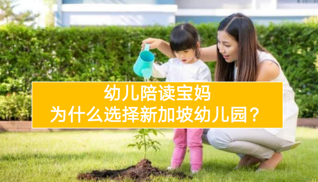 幼儿陪读宝妈，为什么选择新加坡幼儿园？