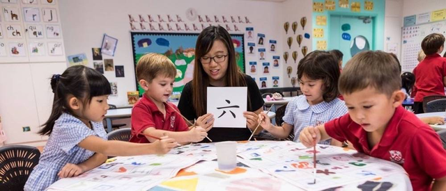 幼儿园阶段留学新加坡，学校这样选~