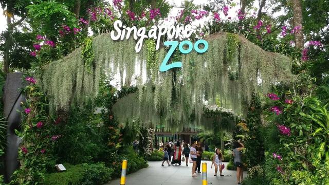各国十大热门旅游景点之新加坡