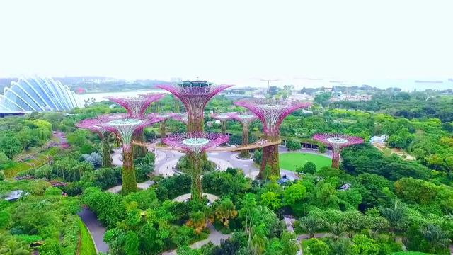 各国十大热门旅游景点之新加坡