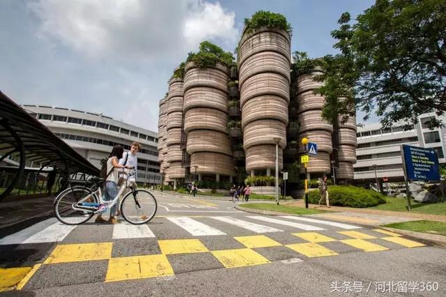 在新加坡，实习早以是多数大学的毕业条件！