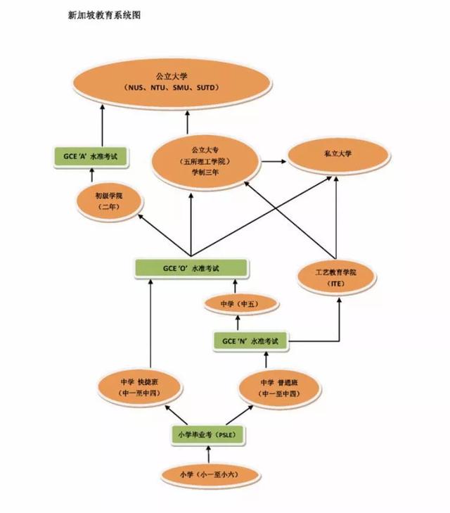 中学必须要了解的新加坡考试——O水准，让你一步高升 