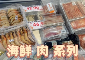 预制菜、冷冻食品、海鲜肉类海运冷链拼箱—新加坡马来...